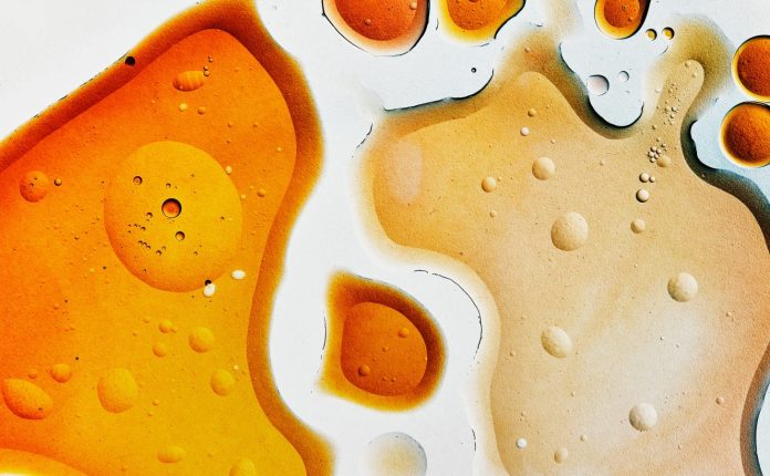 Resep 11 Jenis Cuka: Panduan Memasak Bersamanya dan Banyak Lagi