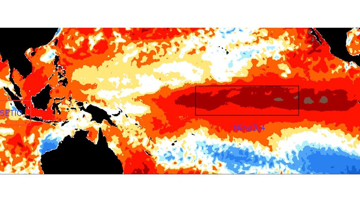 El Nino Kuat Diprediksi Bertahan Hingga 2027, Dampaknya Ngeri